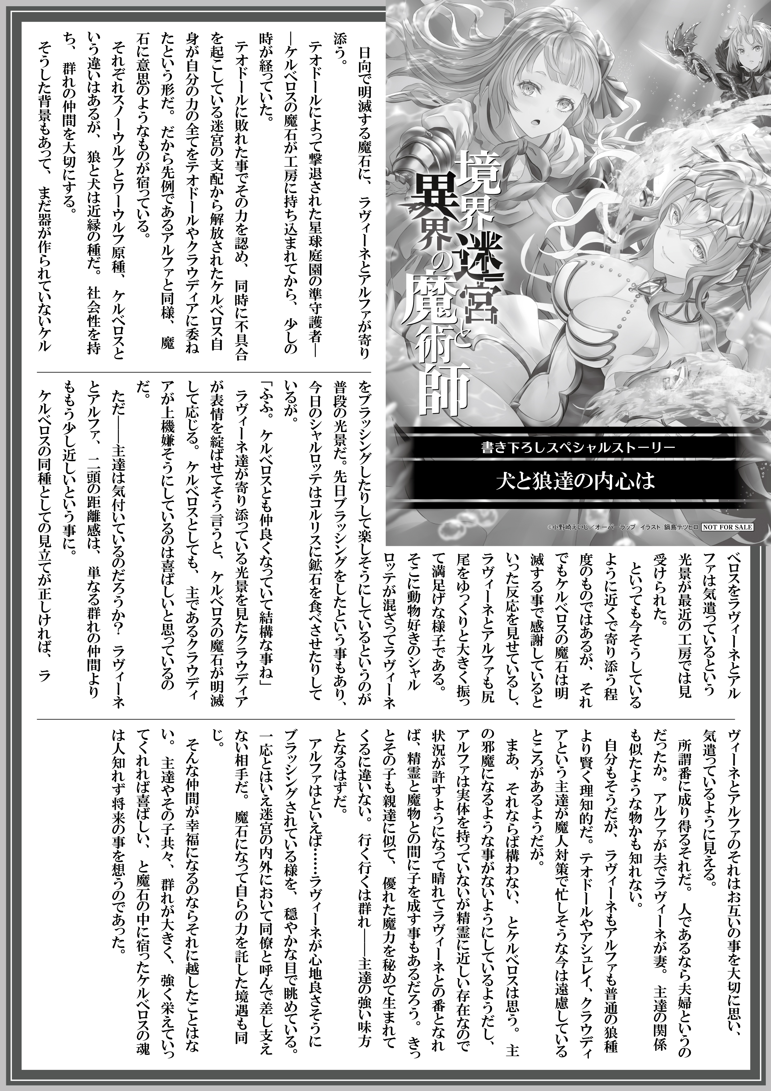 【ノベルス】『境界迷宮と異界の魔術師 15』A4SSペーパー